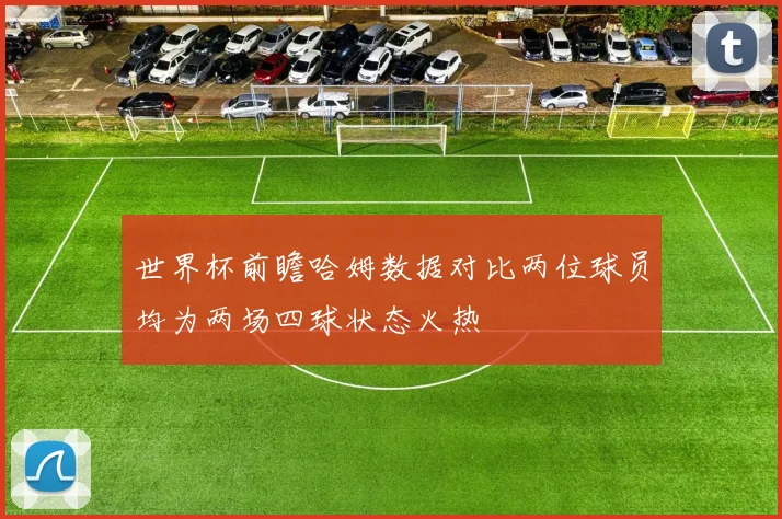 世界杯前瞻哈姆数据对比两位球员均为两场四球状态火热